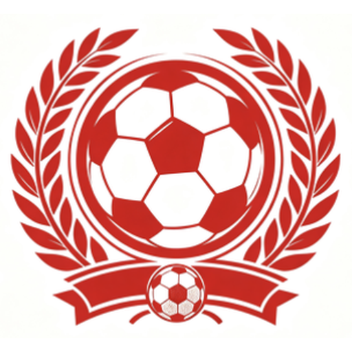 ds足球 Logo